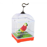 Spievajúci farebný papagáj v klietke