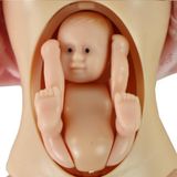 Súprava bábik Kevin a tehotná Lucy