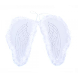 Krídla malého anjela