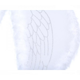 Krídla malého anjela